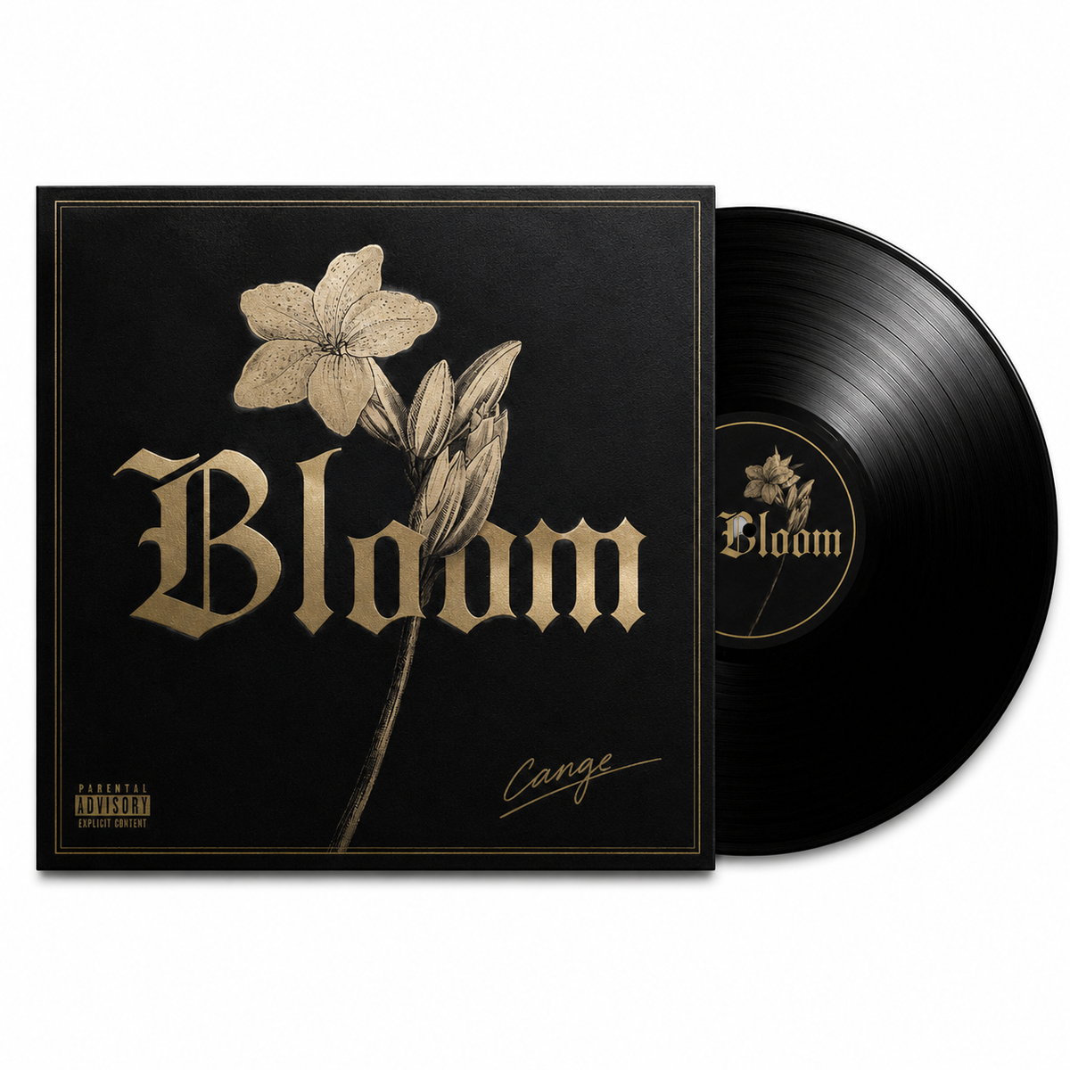 Bloom Debut Vinyl