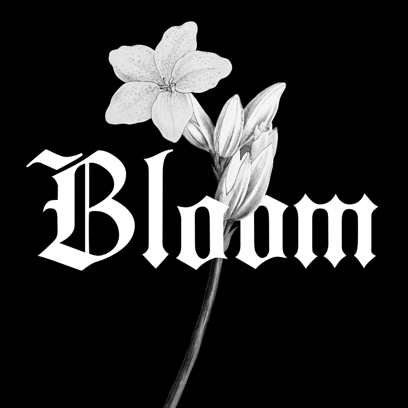 Bloom